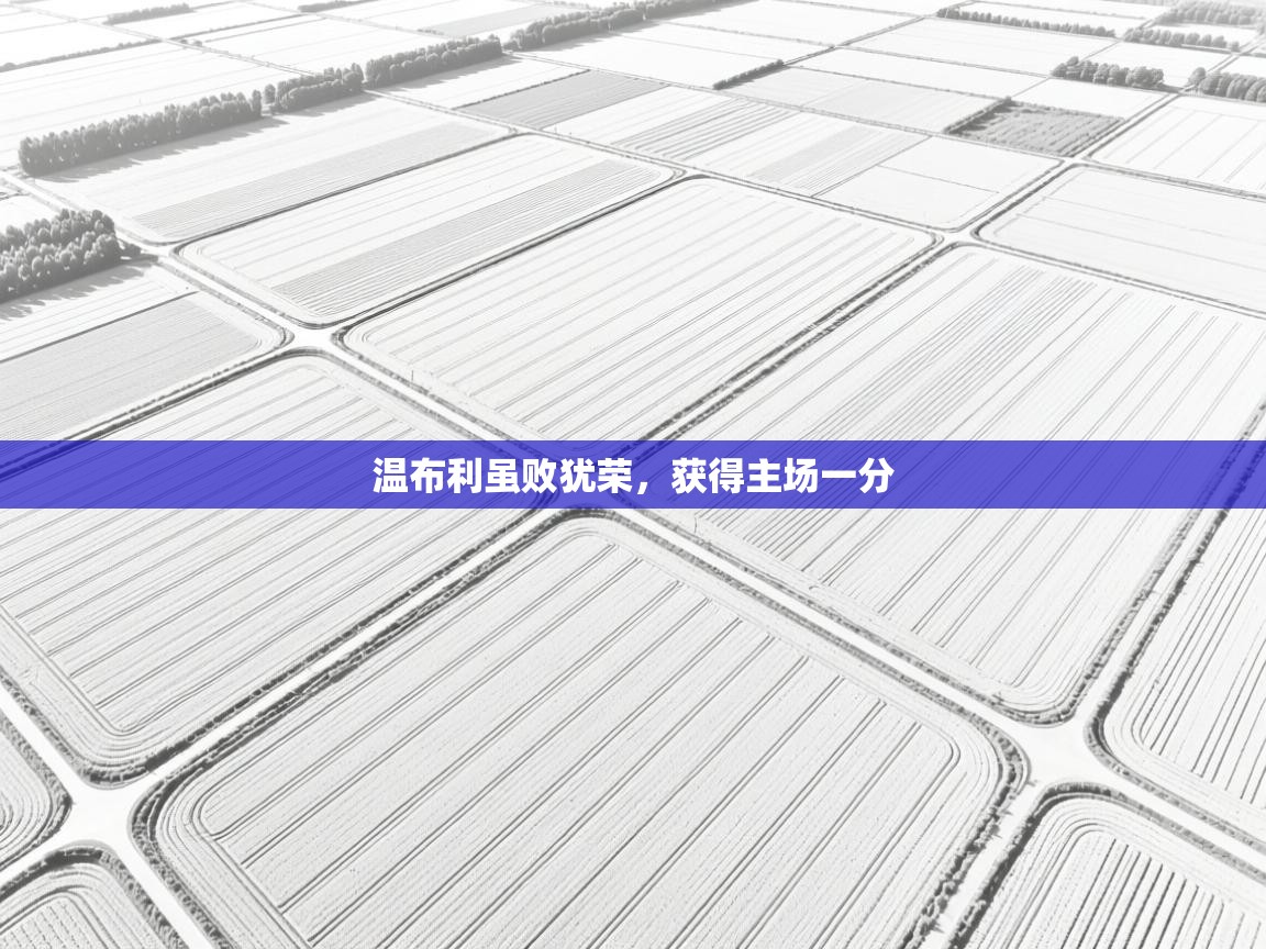 温布利虽败犹荣，获得主场一分  第1张