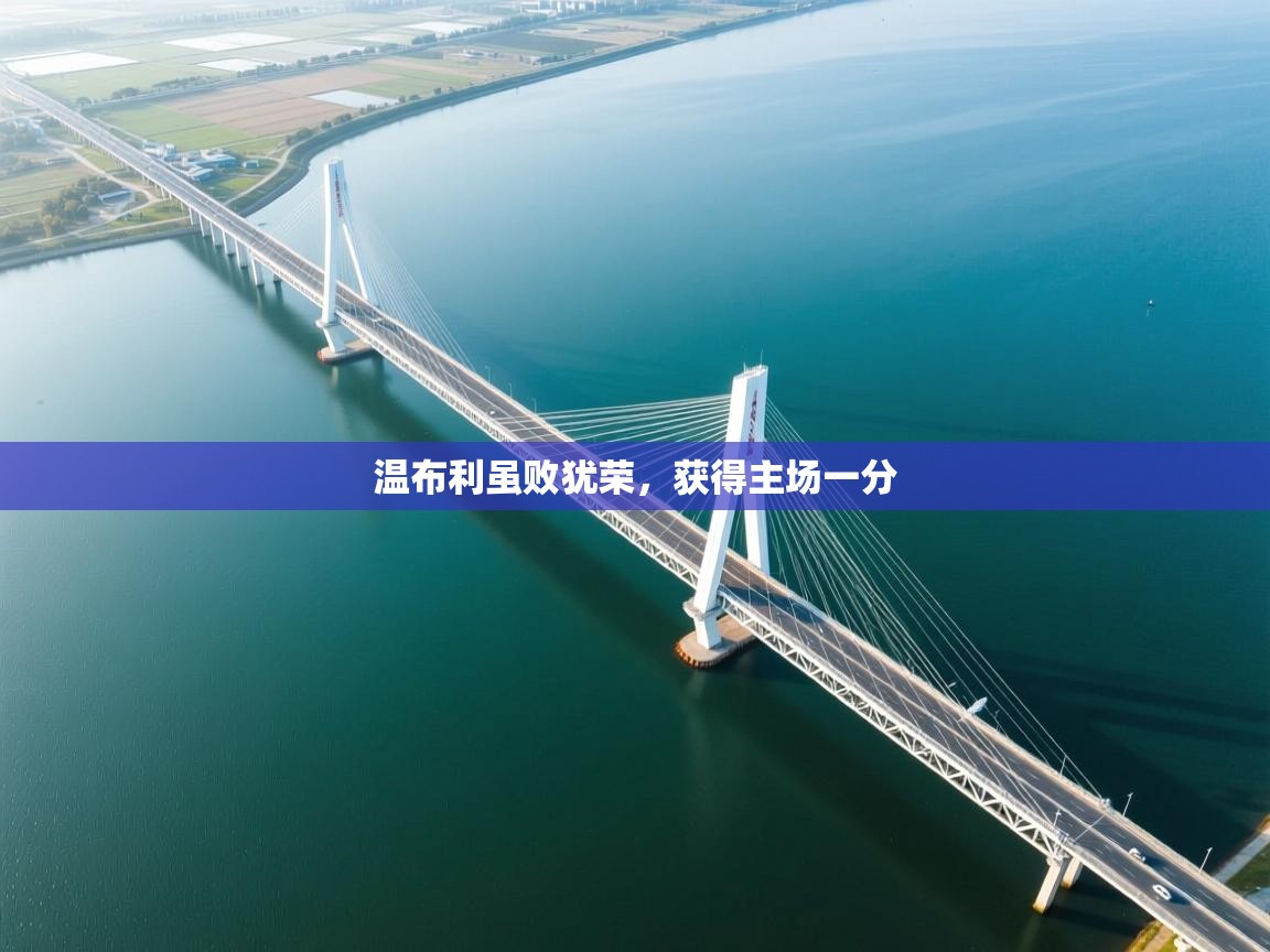 温布利虽败犹荣，获得主场一分  第2张